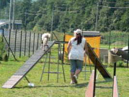 obrzek: tn_agility_blansko2.jpg; rozlien: 267  200 px; velikost 15 kB;