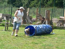 obrzek: tn_agility_blansko4.jpg; rozlien: 267  200 px; velikost 14 kB;