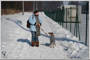 obrzek: tn_img_7575.jpg; rozlien: 296  200 px; velikost 13 kB;